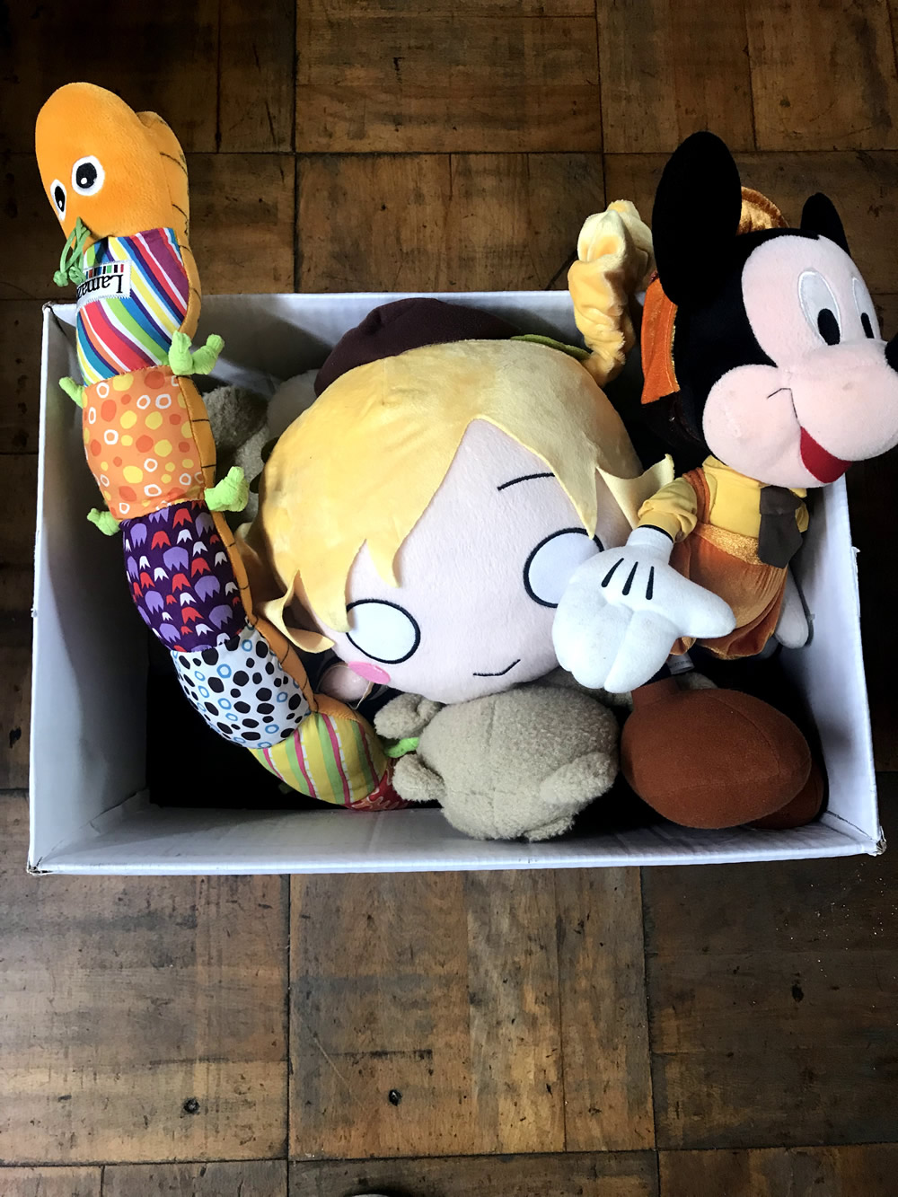 ヤナギモトさま