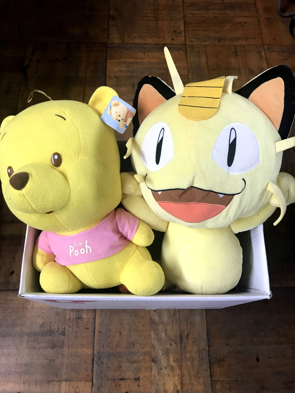 タキモトさま