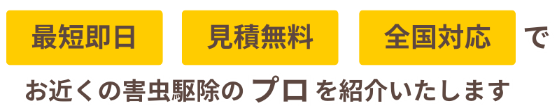 お近くの害虫駆除のプロを紹介いたします