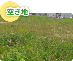 空き地