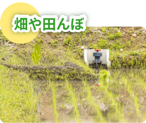 畑や田んぼ