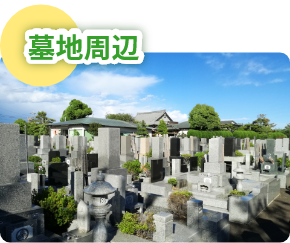 墓地周辺