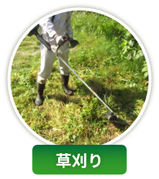 草刈り