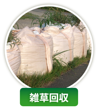 雑草回収