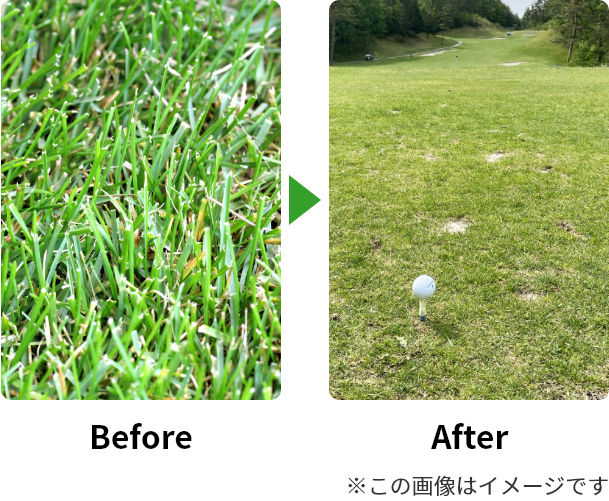 Before → After