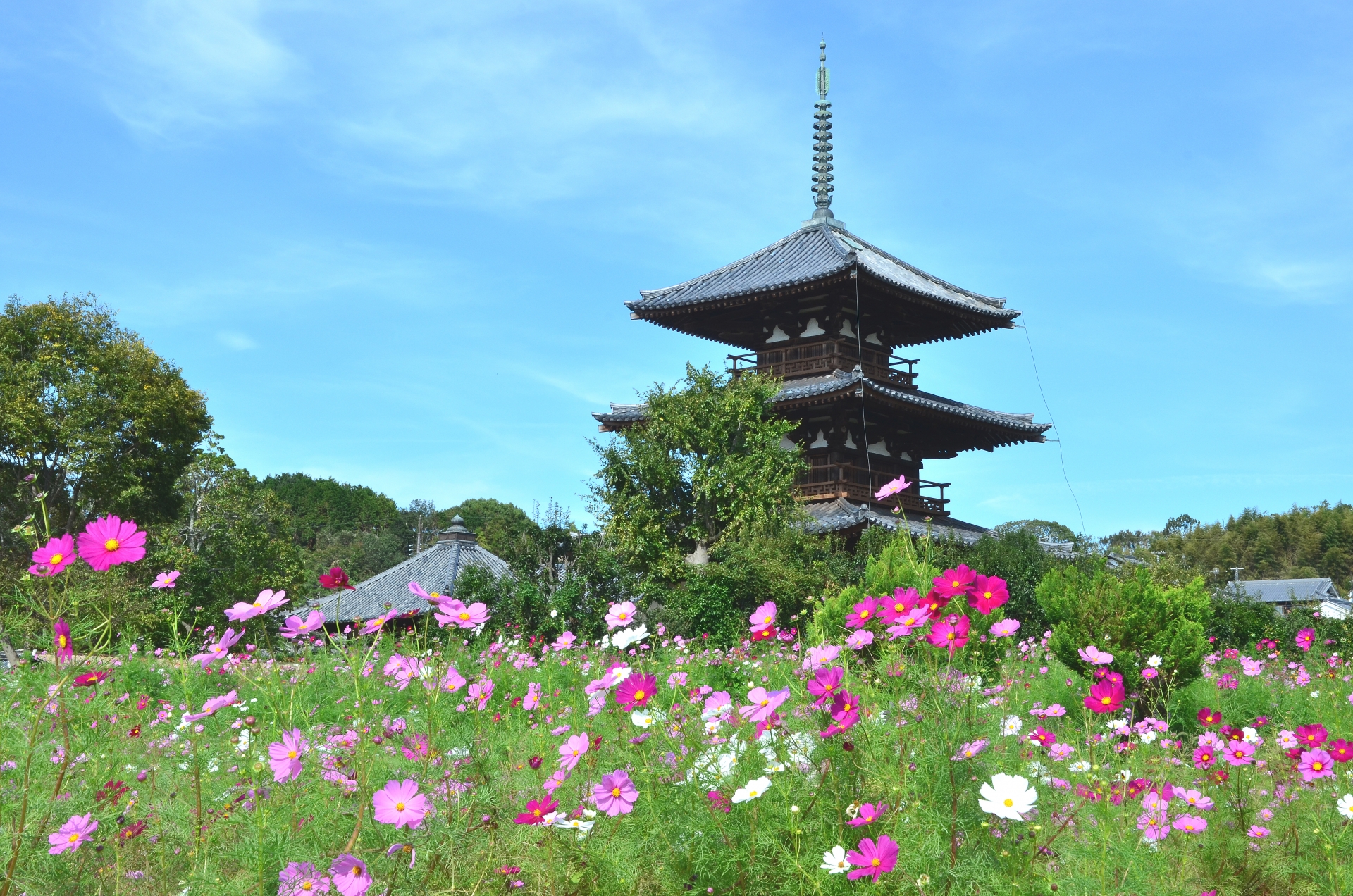奈良県内で処分に困るお仏壇・仏具の処分費用相場～最も安く処分する方法