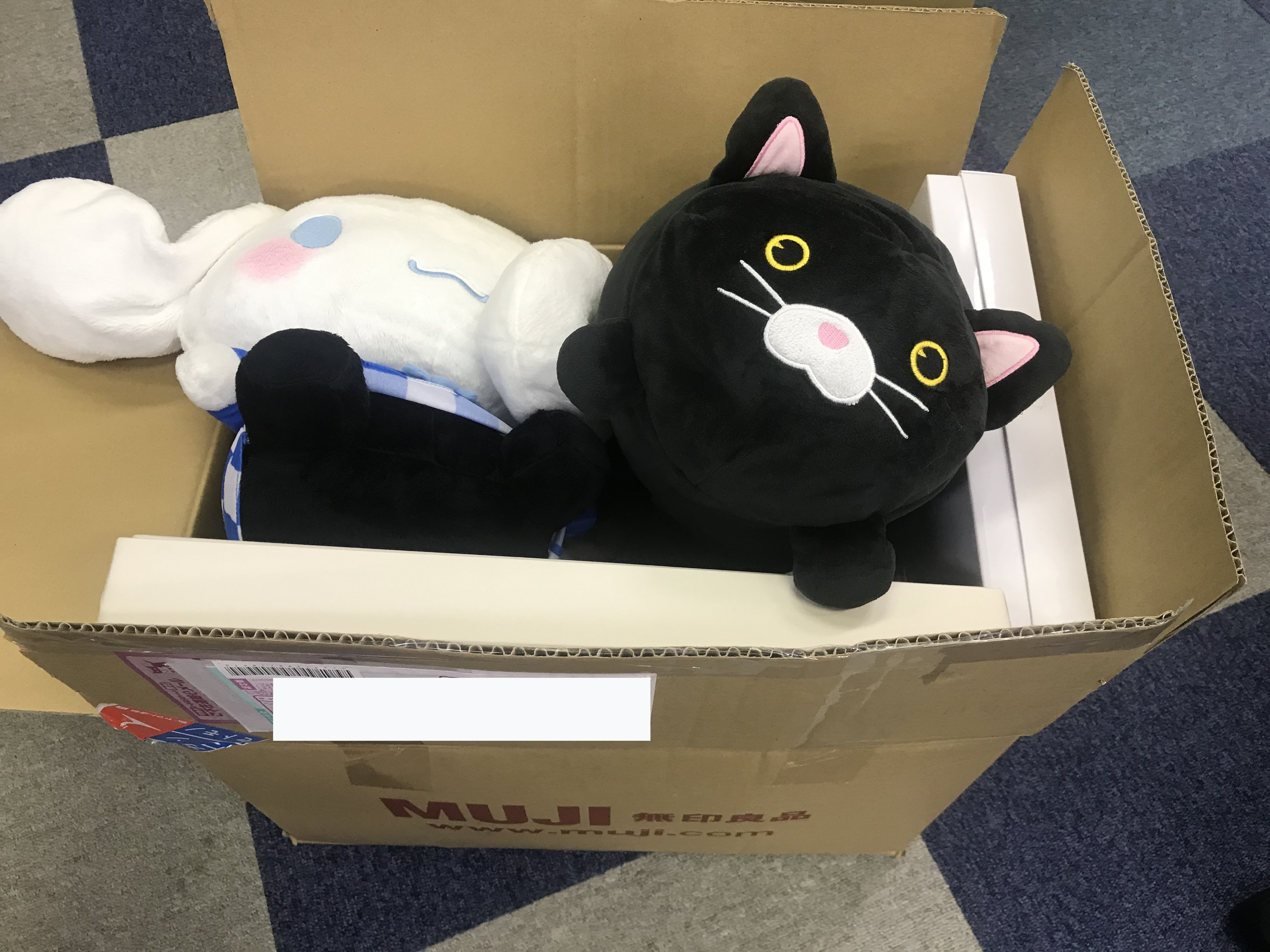 ダンボール1箱分のぬいるぐみ寄付をいただきました!