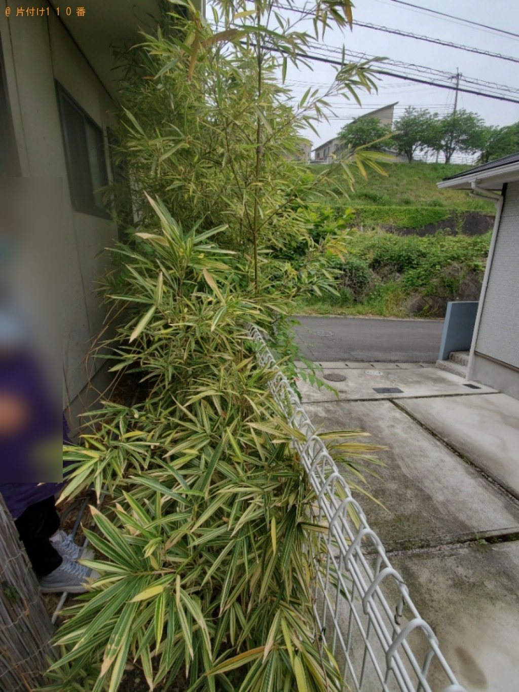 【別府市】物置の回収・処分ご依頼と草抜き作業ご依頼　お客様の声