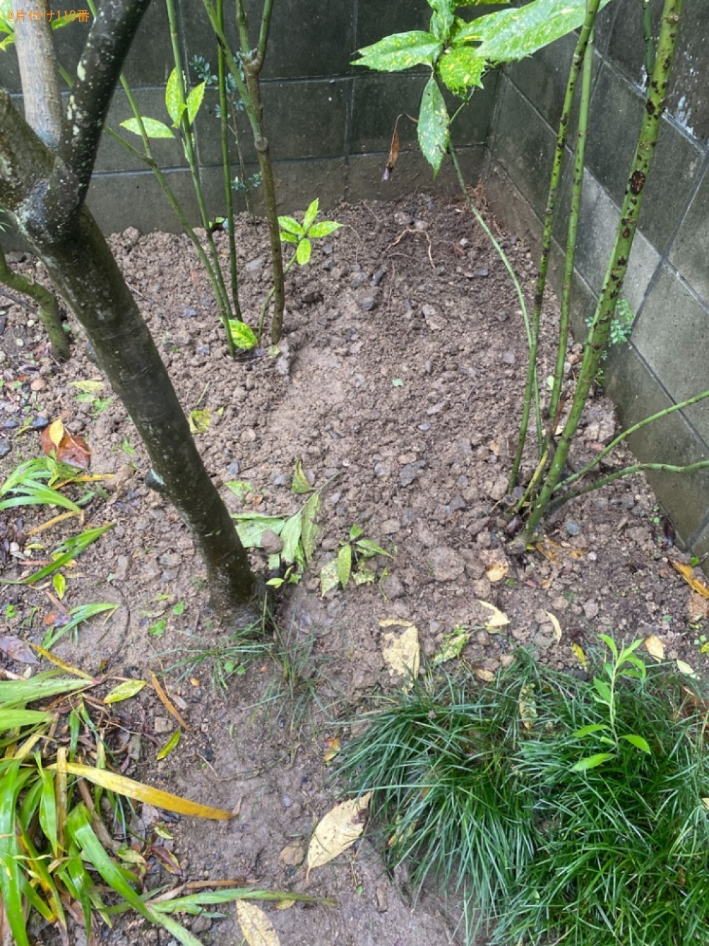 【倉敷市】庭石の回収・処分ご依頼　お客様の声