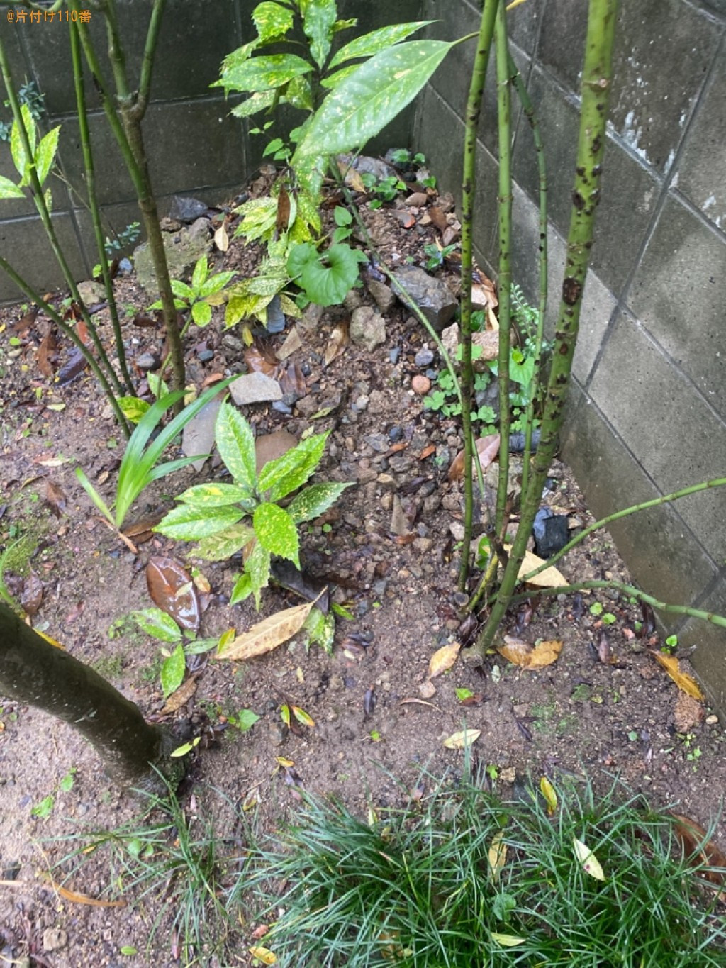 【倉敷市】庭石の回収・処分ご依頼　お客様の声