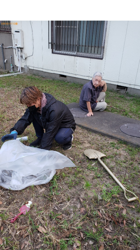 【君津市】ハチの駆除作業ご依頼　お客様の声