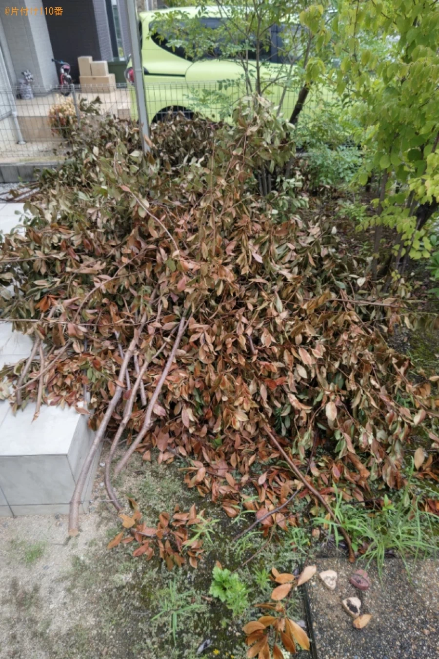 【奈良市】木や葉っぱの出張不用品回収・処分ご依頼　お客様の声