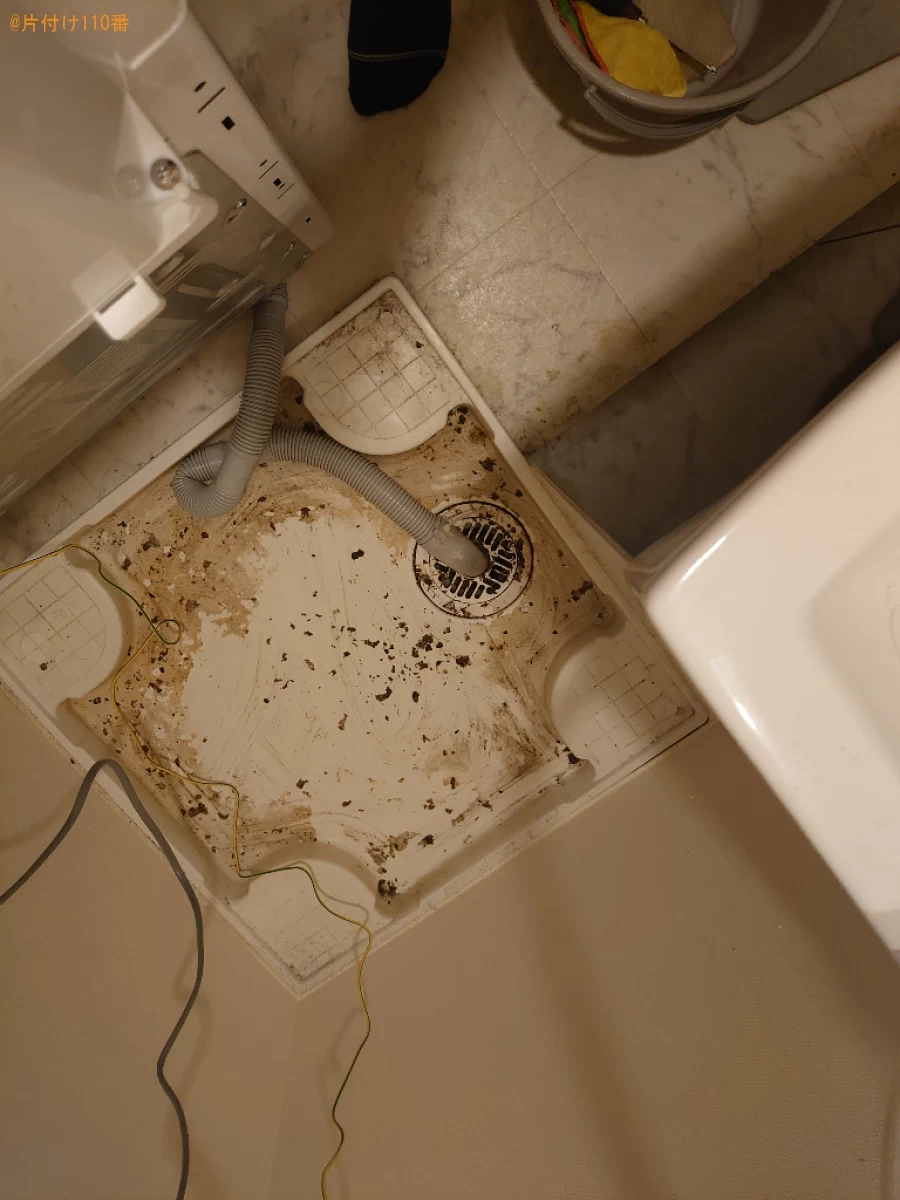 【松山市祇園町】洗濯槽の排水のホースの清掃作業ご依頼　お客様の声