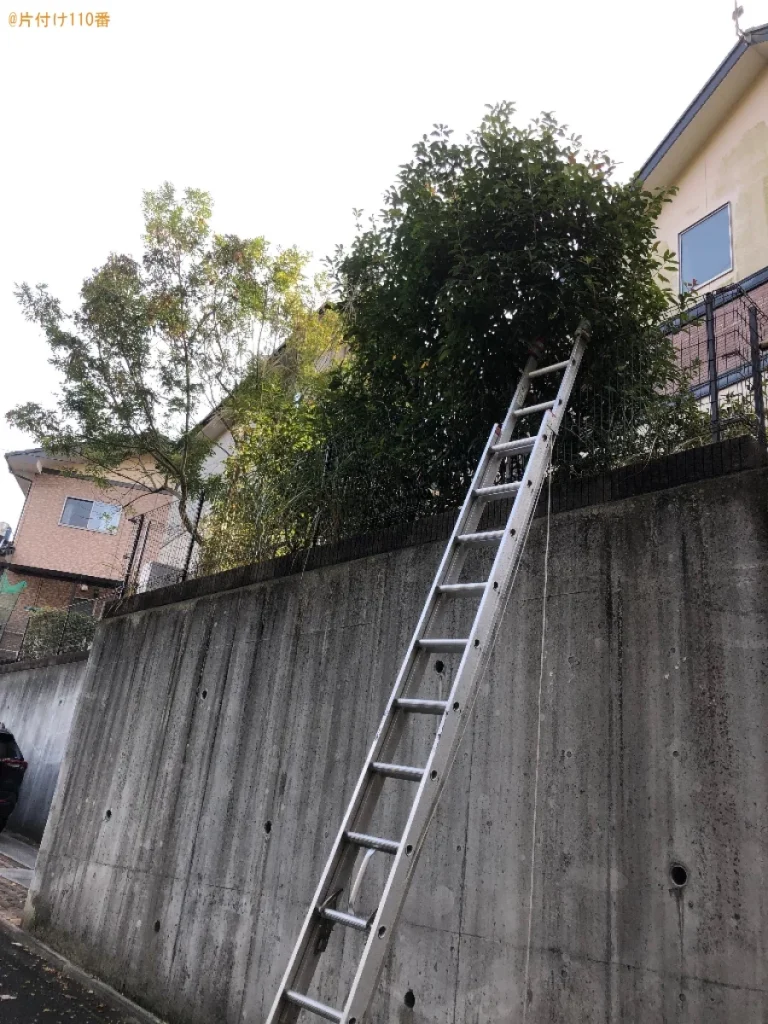 【北九州市小倉南区】庭木の剪定作業ご依頼お客様の声