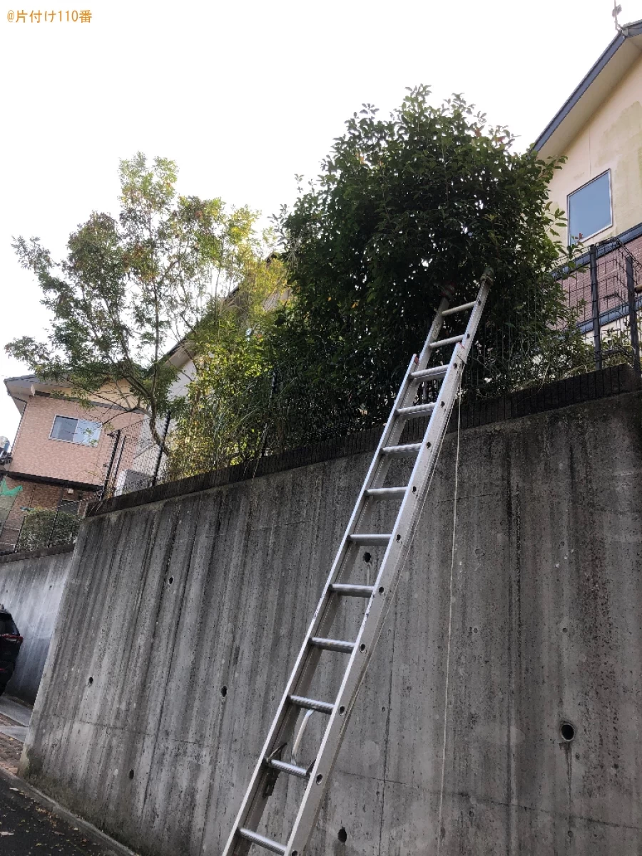 【北九州市小倉南区】庭木の剪定作業ご依頼お客様の声