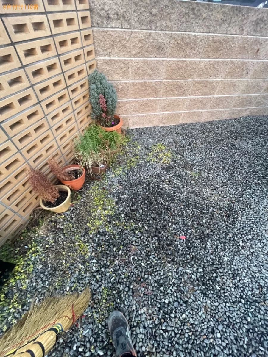 【岡山市南区】死んでいる鳩の死骸の回収・処分ご依頼　お客様の声