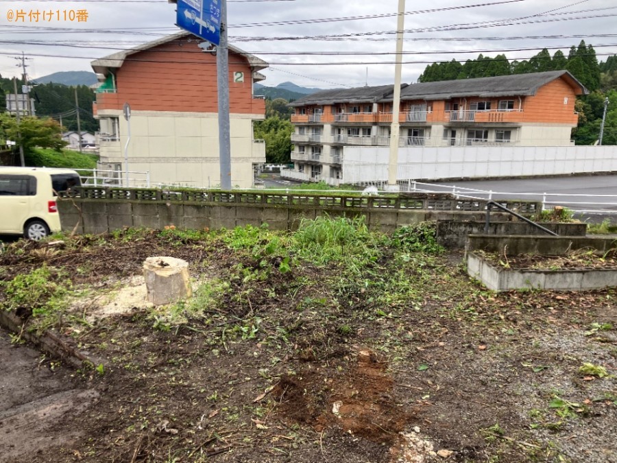 【霧島市溝辺町】庭木の伐採と庭石の回収ご依頼　お客様の声