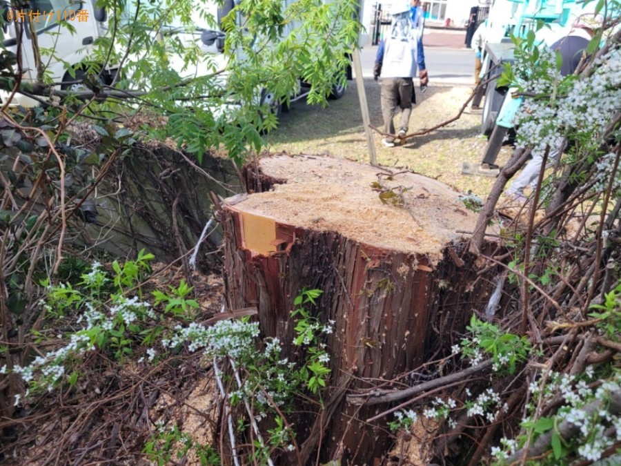 【青森市】庭木の伐採と処分ご依頼　お客様の声