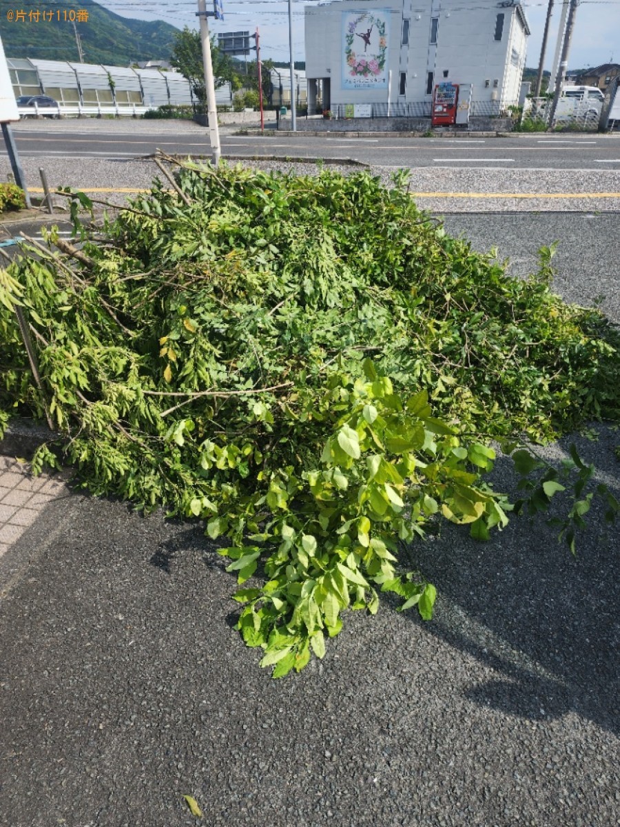 【直方市】剪定した枝の処分ご依頼　お客様の声