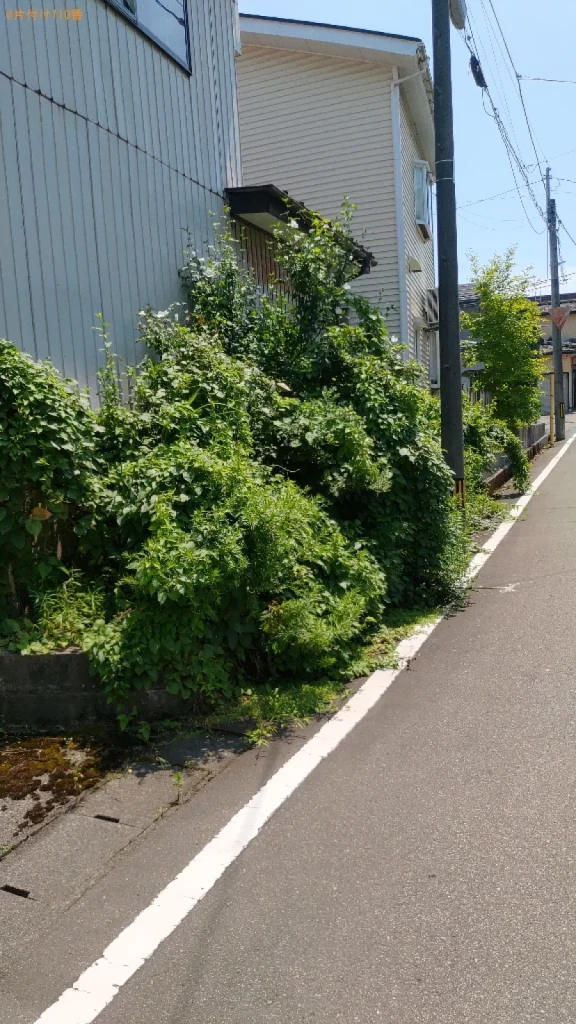 【長岡市関原町】草刈りのご依頼　お客様の声