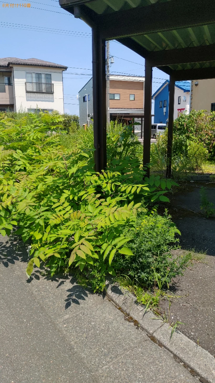 【長岡市関原町】草刈りのご依頼　お客様の声