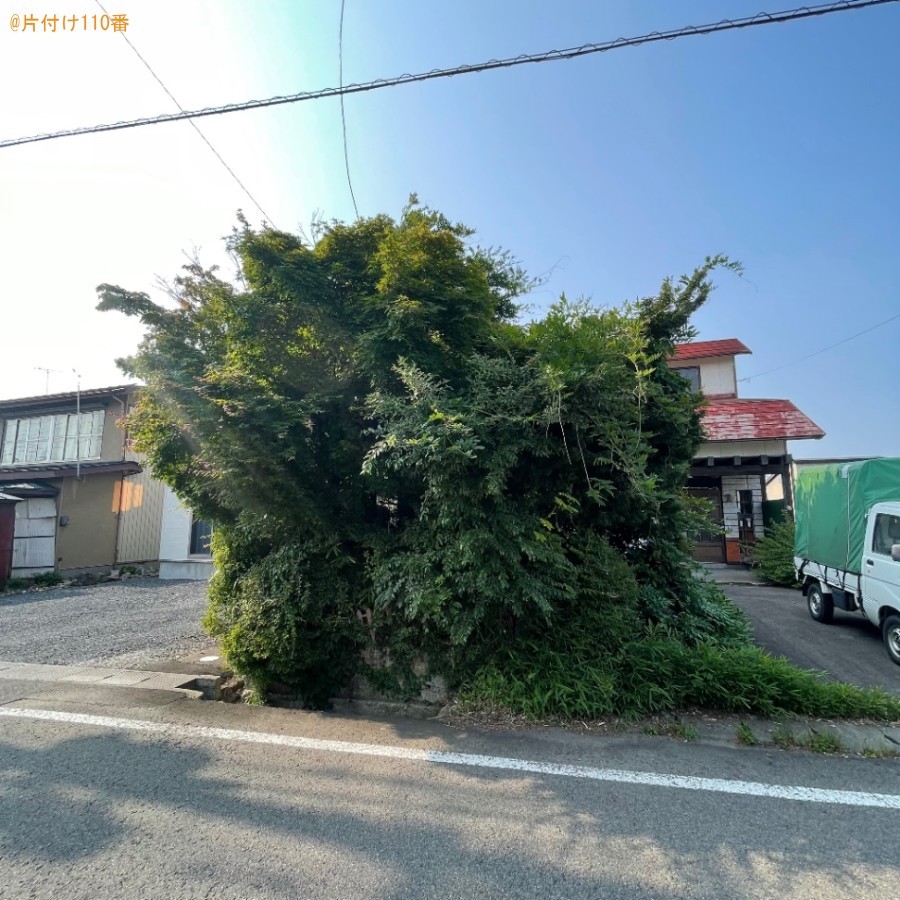 【大館市古川町】木の伐採、剪定と草むしりご依頼　お客さまの声