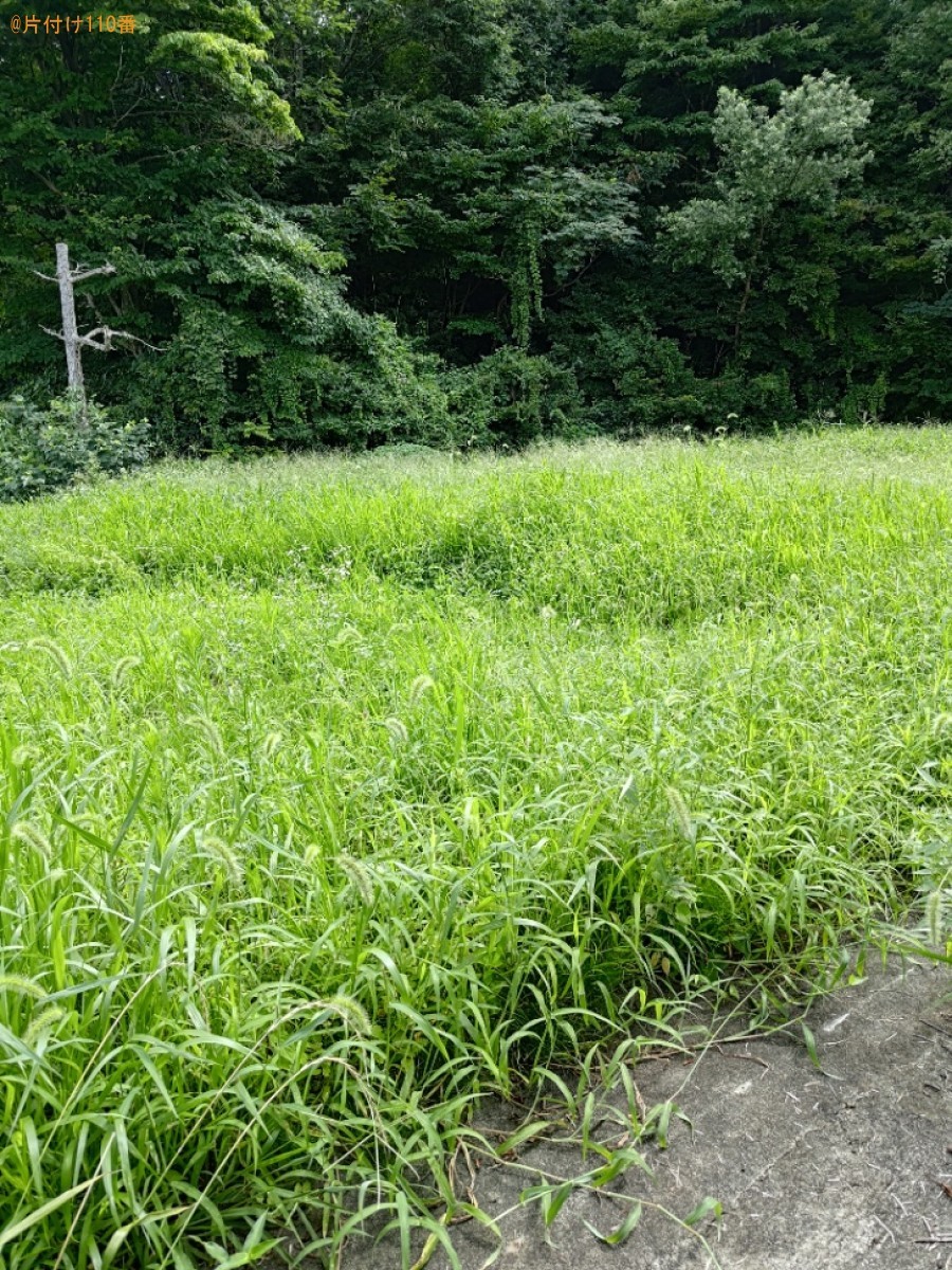 【長岡市】草刈りのご依頼　お客様の声