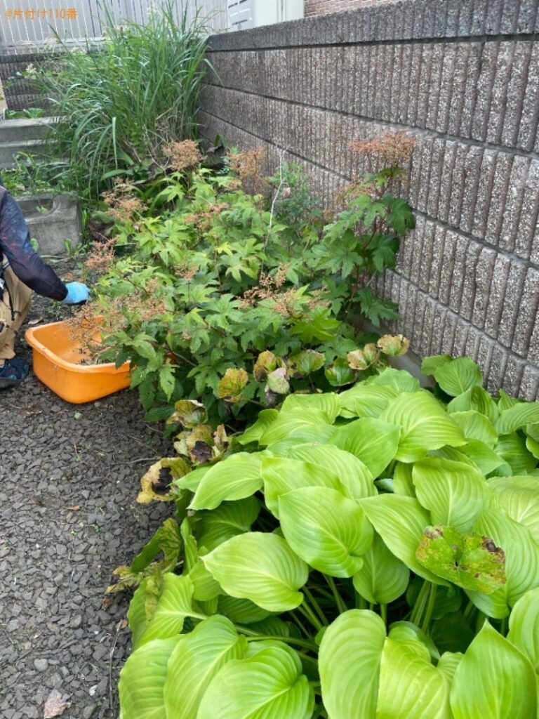 【大鰐町】草刈りご依頼　お客様の声