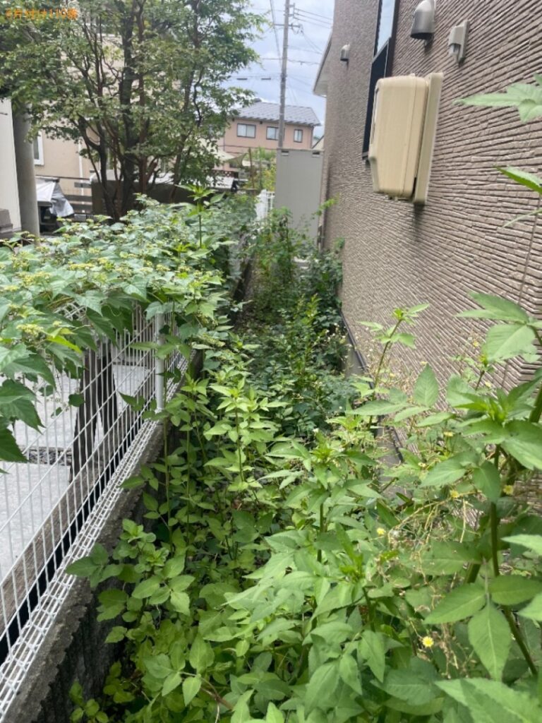 【塩尻市】草刈りと剪定のご依頼　お客様の声