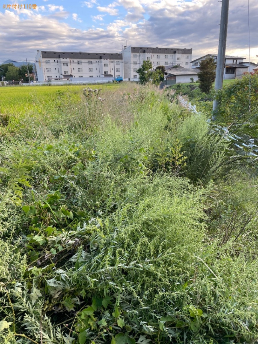 【弘前市】田んぼの草刈りご依頼　お客様の声