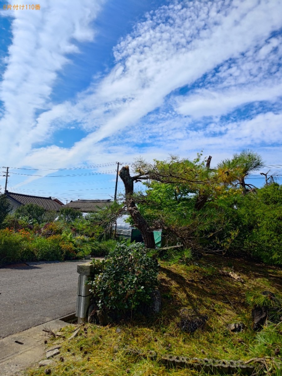 【長岡市】庭木の剪定と伐採ご依頼　お客様の声