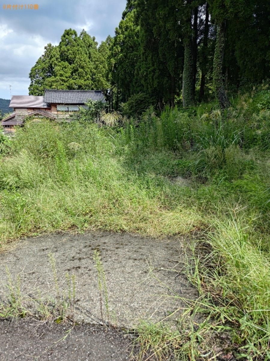 【柏崎市】草刈りのご依頼　お客さまの声