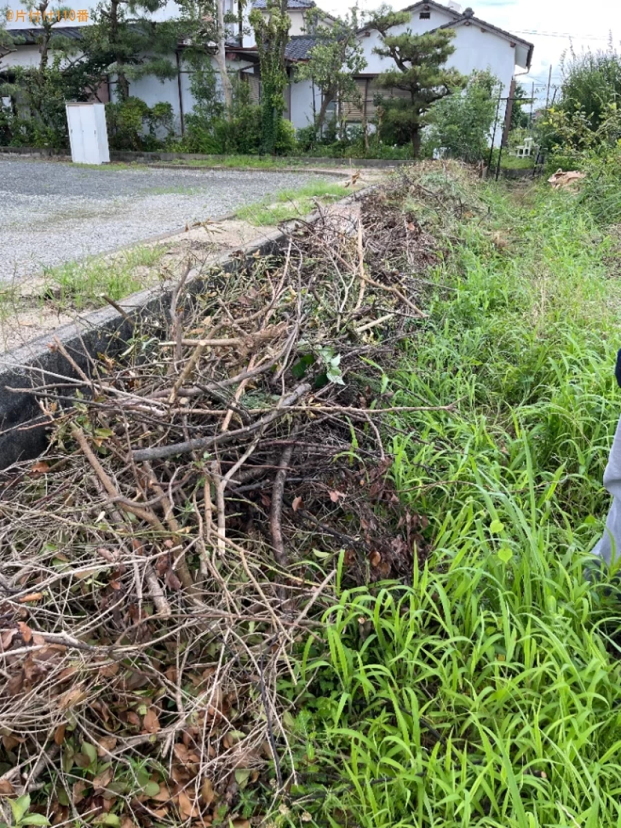 【佐賀市諸富町】剪定後に出た草木の回収ご依頼　お客様の声