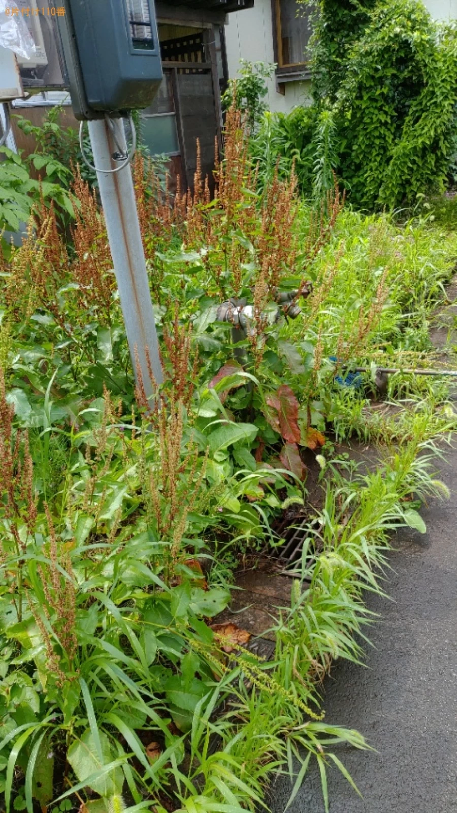 【長岡市】草刈りご依頼　お客さまの声