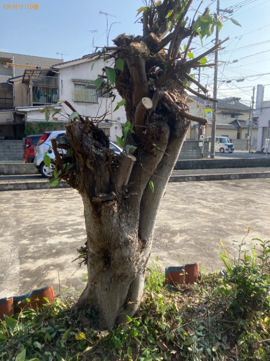 【福山市多治米町】伐採後の木の枝の回収ご依頼　お客様の声