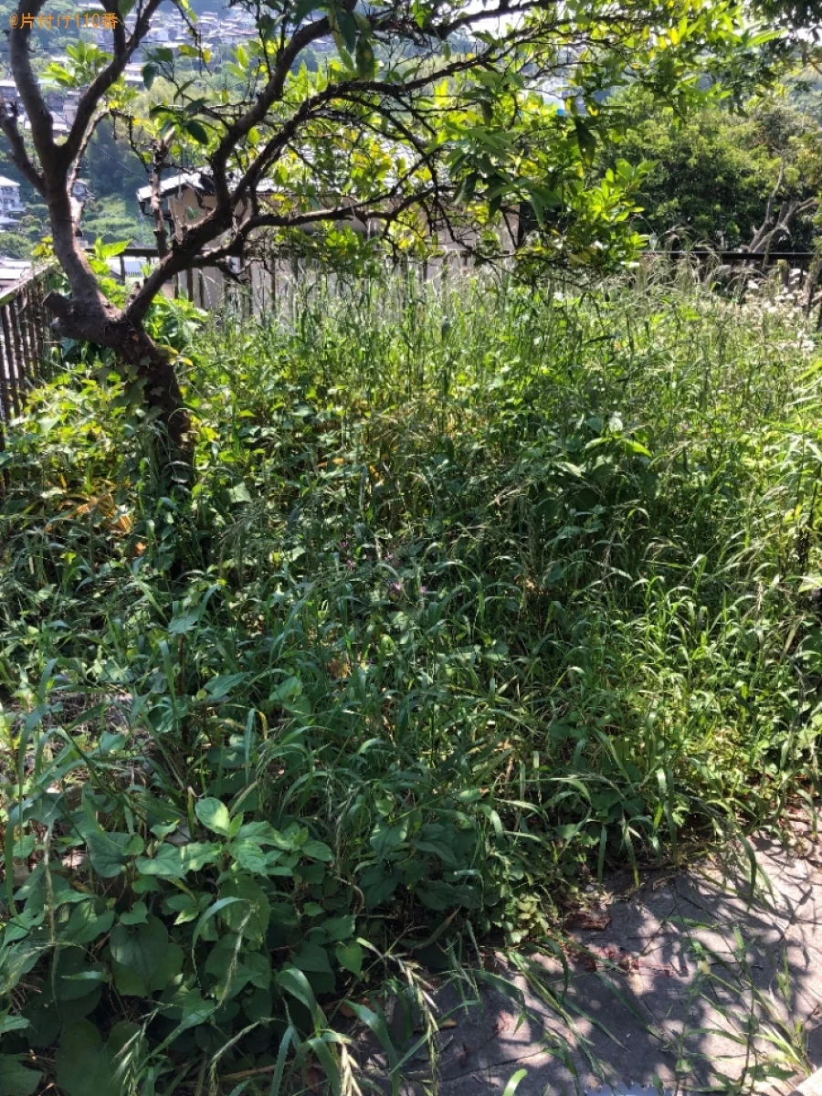 【北九州市八幡東区】草刈りのご依頼　お客様の声