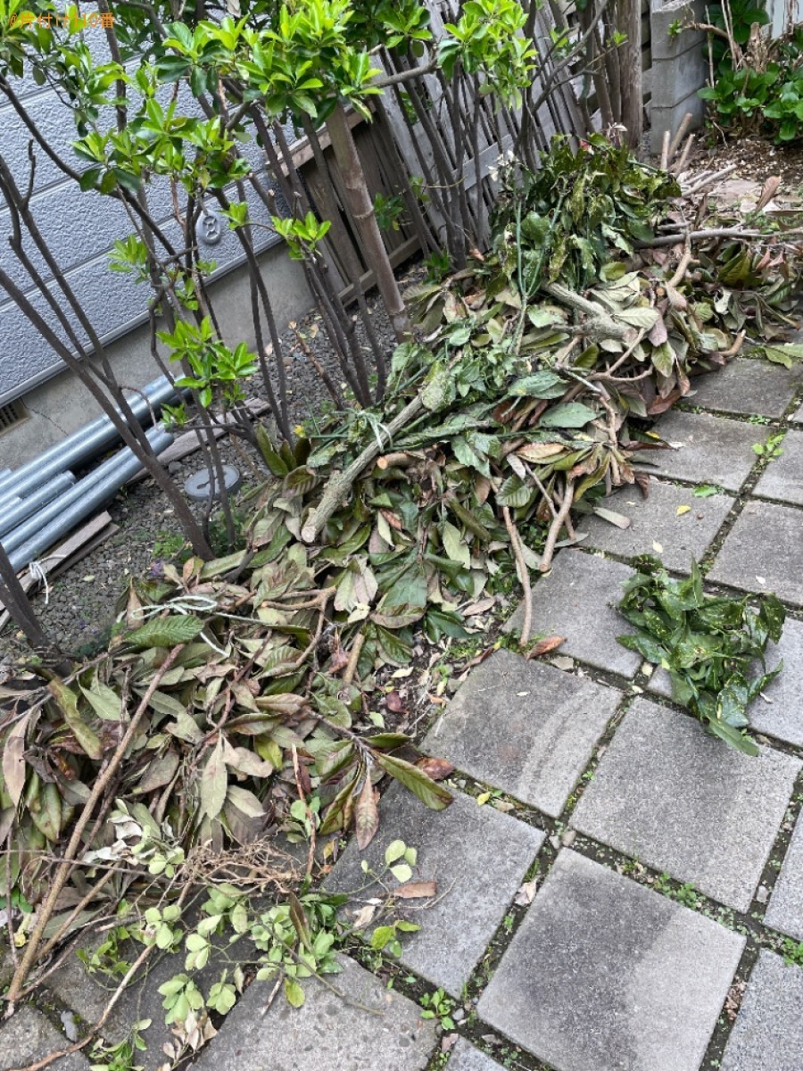 【青森市】剪定した枝の回収・処分ご依頼　お客様の声