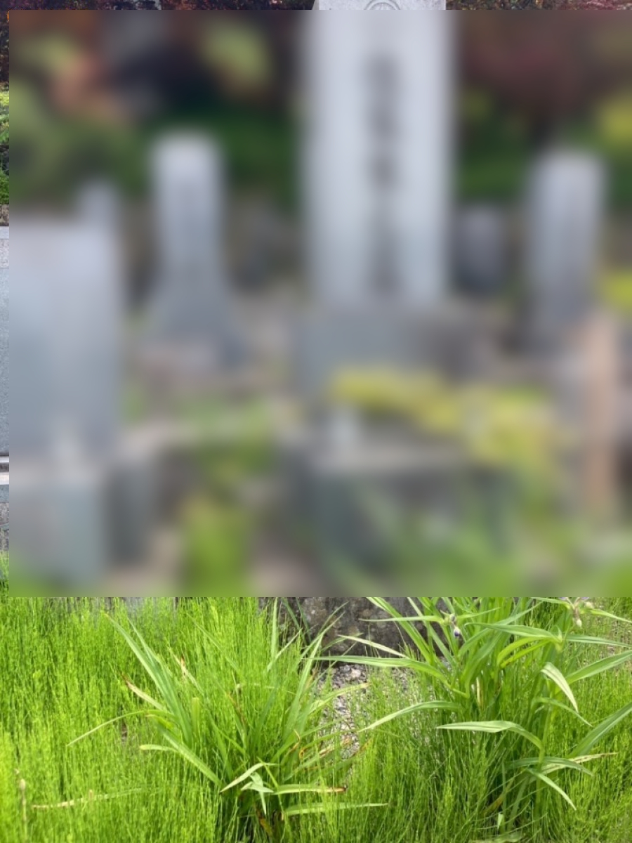 【諏訪市】お墓掃除代行ご依頼　お客様の声