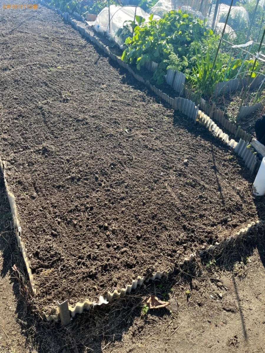 【京都市伏見区】草刈り作業ご依頼ご依頼　お客様の声