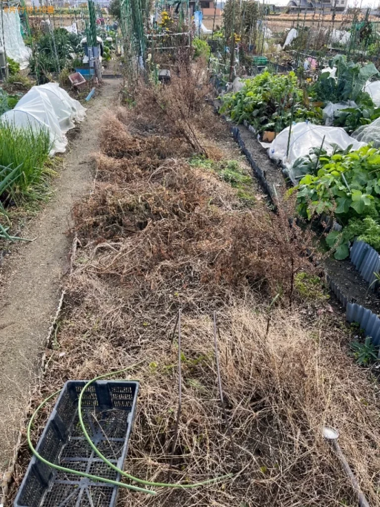 【京都市伏見区】草刈り作業ご依頼ご依頼　お客様の声