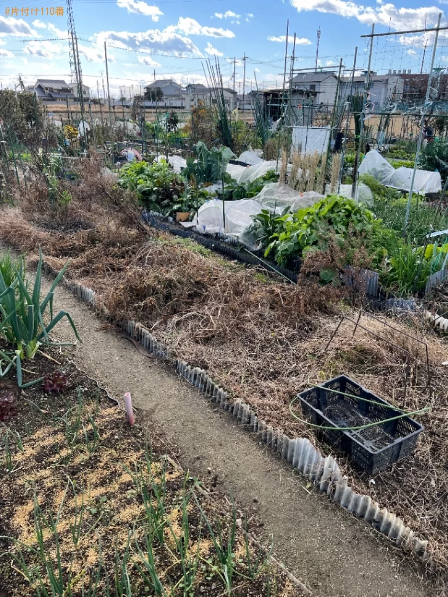 【京都市伏見区】草刈り作業ご依頼ご依頼　お客様の声