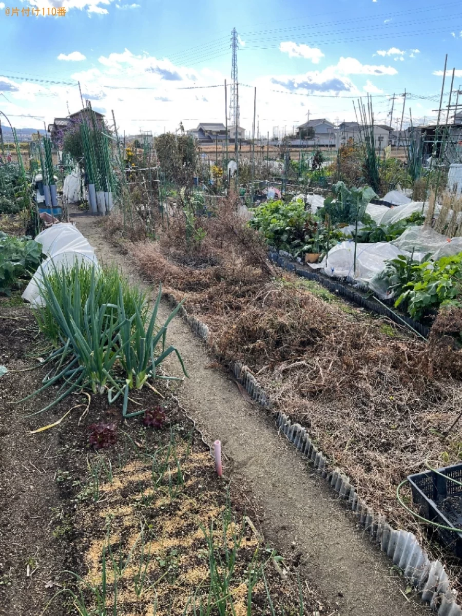 【京都市伏見区】草刈り作業ご依頼ご依頼　お客様の声