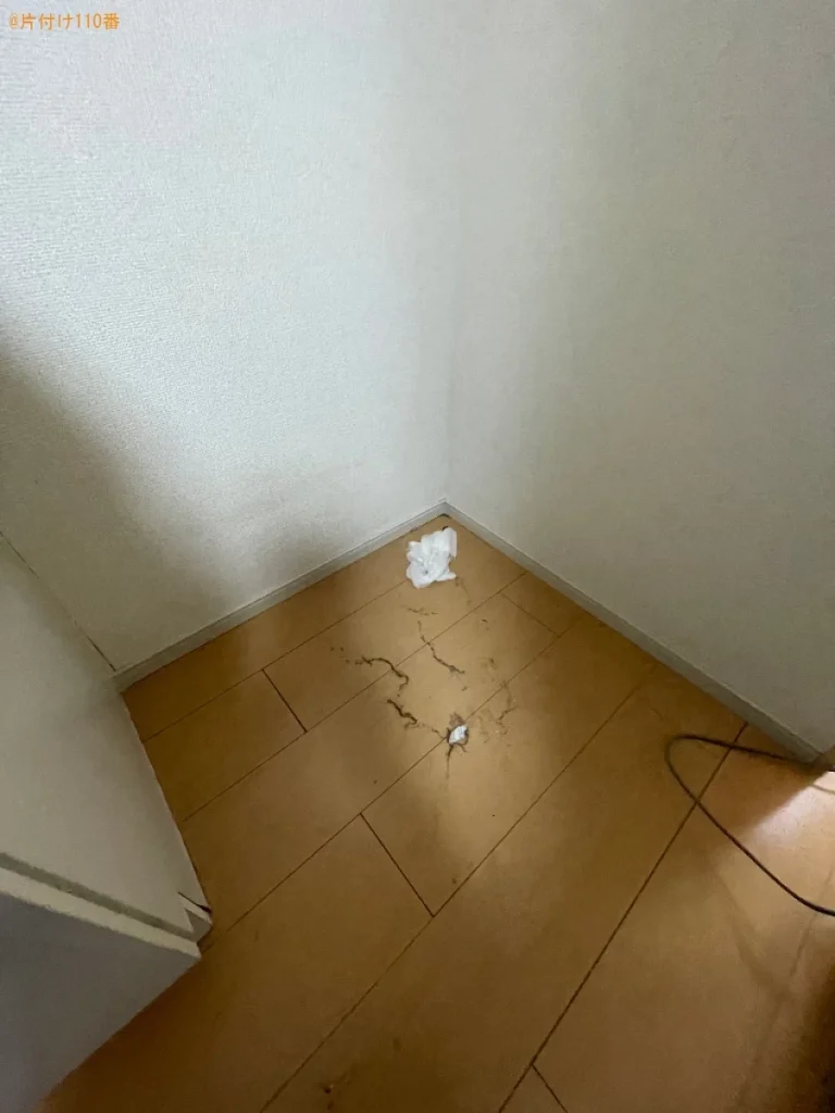 【倉敷市連島町】害虫駆除作業ご依頼　お客様の声