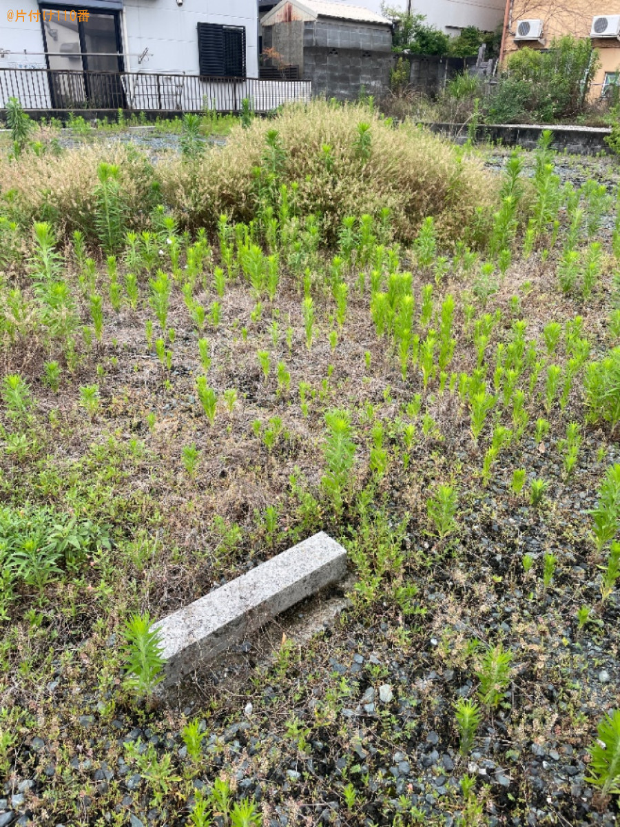 【磐田市】草抜き作業ご依頼　お客様の声