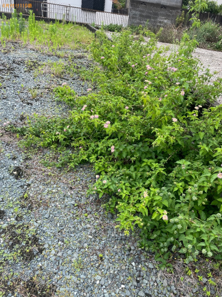 【磐田市】草抜き作業ご依頼　お客様の声