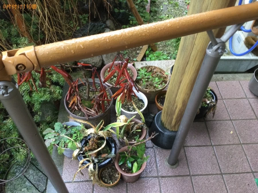 【燕市新栄町】鉢植えの回収・処分ご依頼　お客様の声