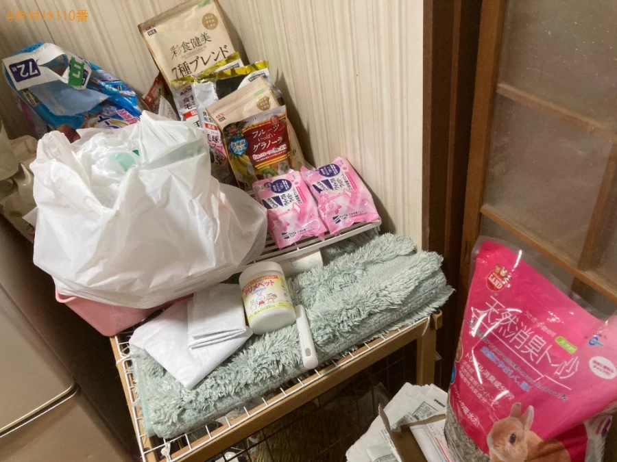 【大阪市東淀川区】ウサギ小屋の掃除、食器洗い、机の上の片付け等