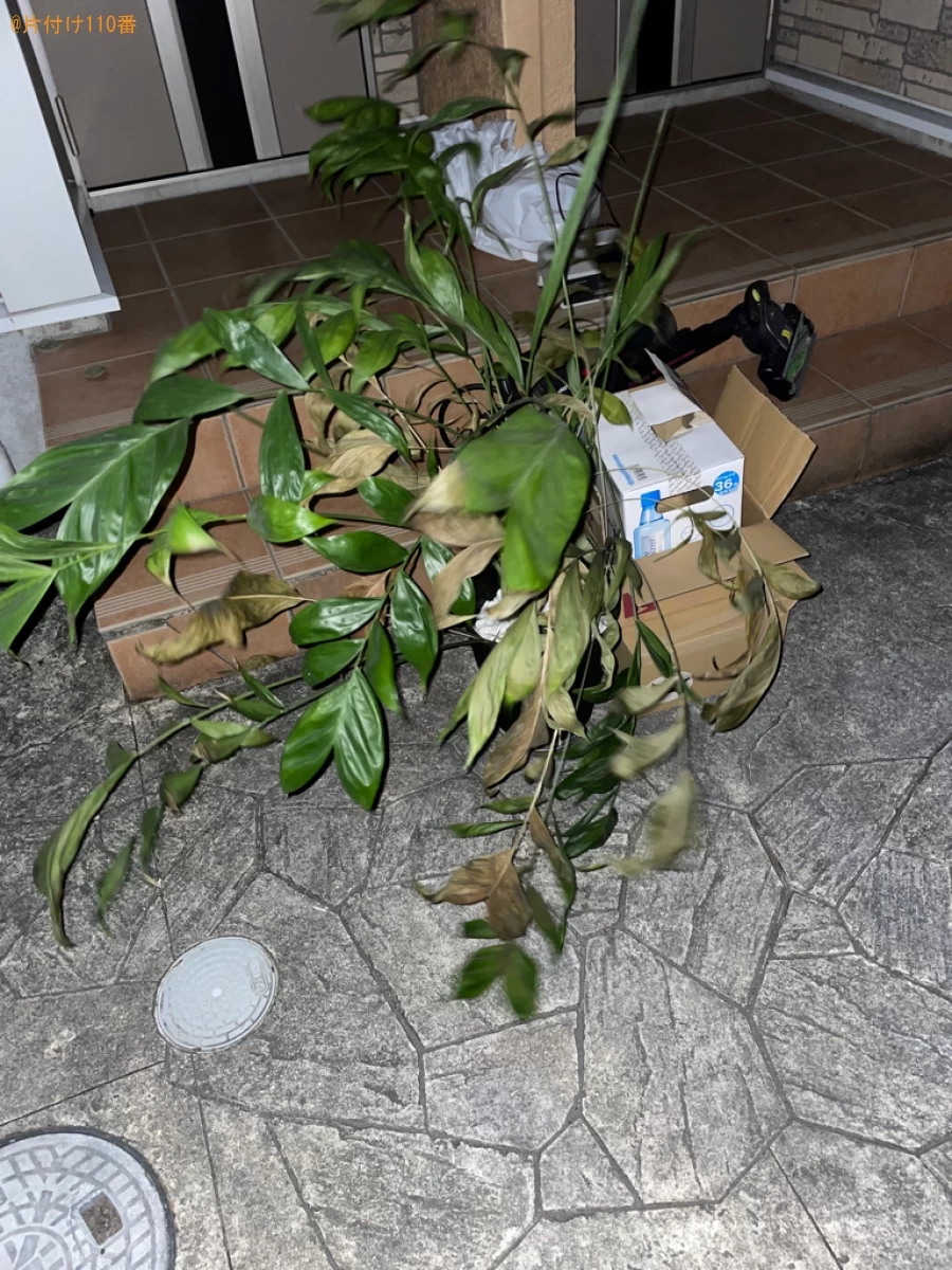 【磐田市】掃除機、鉢植え、電気ケトル、じょうろ等の回収・処分