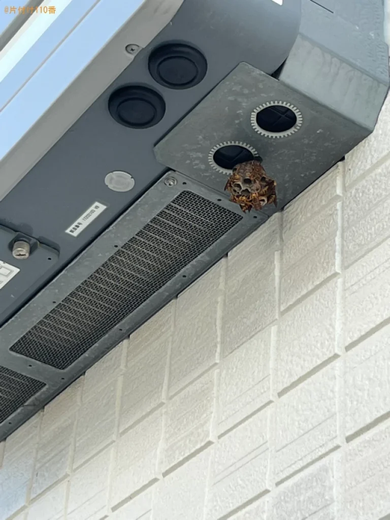 【佐賀市北川副町】アシナガバチ駆除ご依頼　お客様の声