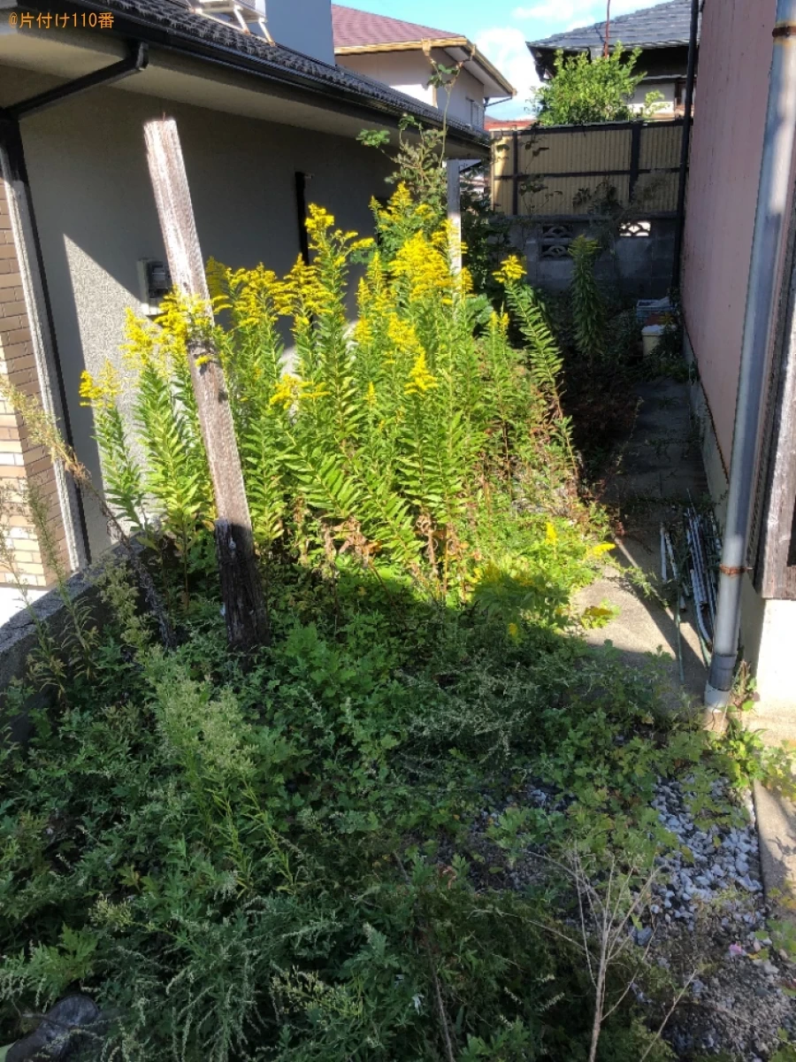【北九州市八幡西区】草刈り作業ご依頼　お客様の声
